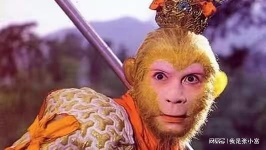 真假美猴王在线视频,揭秘传奇猴王背后的真相与传奇